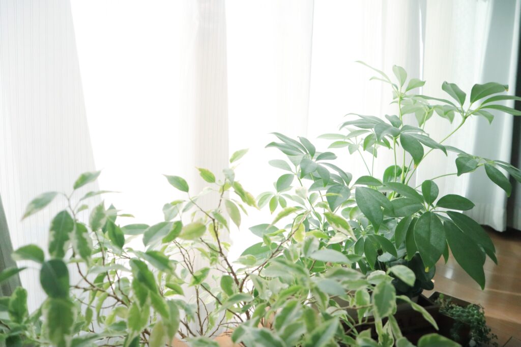 Plumedesign-プルームデザイン-お問い合わせ